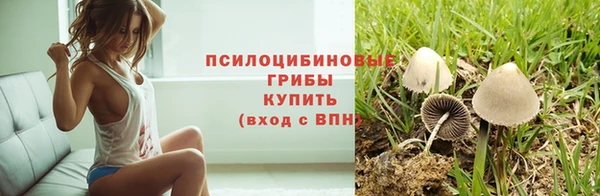 ALPHA-PVP Осинники